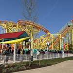 Wild Mouse