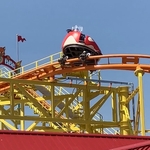 Wild Mouse