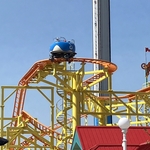 Wild Mouse