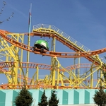 Wild Mouse
