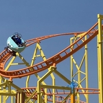 Wild Mouse