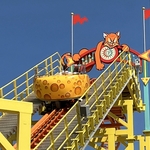 Wild Mouse