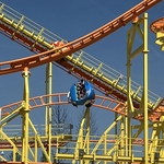 Wild Mouse