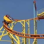 Wild Mouse
