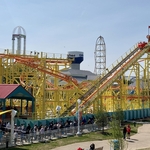 Wild Mouse