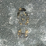 My Footprint