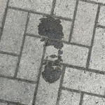 My Footprint