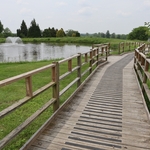 Dawes Arboretum