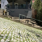 Canton Avenue