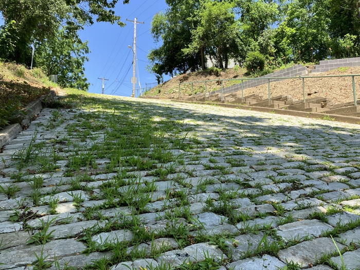 Canton Avenue
