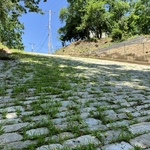Canton Avenue