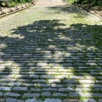 Canton Avenue
