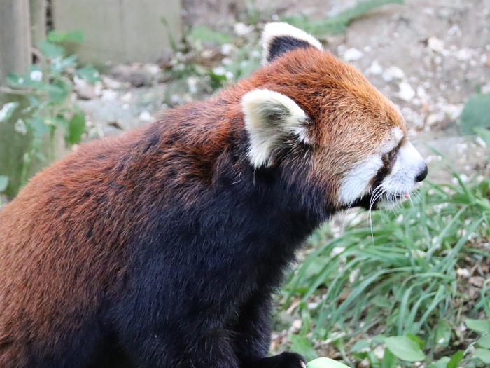Columbus Zoo