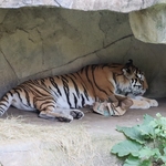 Columbus Zoo