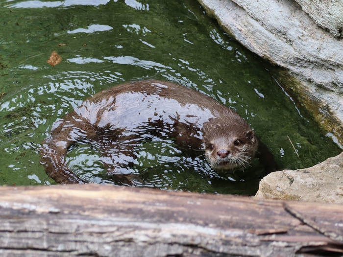 Columbus Zoo