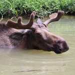 Columbus Zoo
