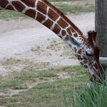 Columbus Zoo