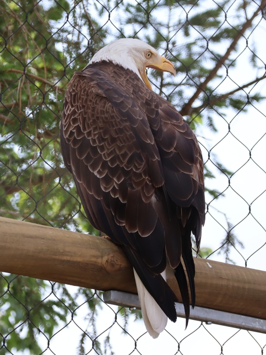 Columbus Zoo