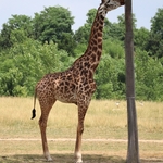 Columbus Zoo