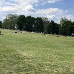 Primrose Hill