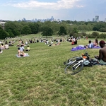 Primrose Hill