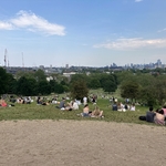 Primrose Hill