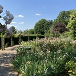 Rose Garden
