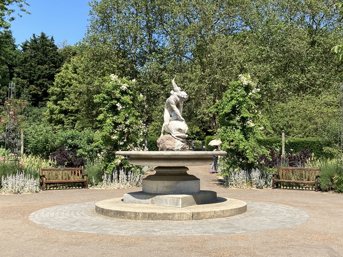 Rose Garden
