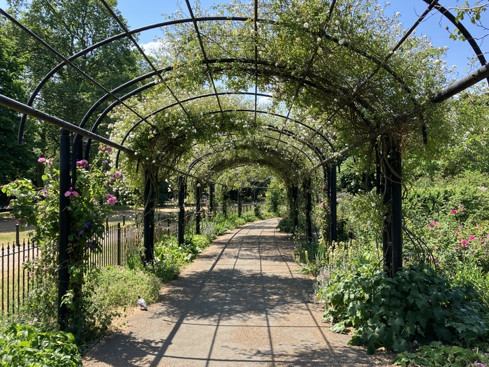 Rose Garden