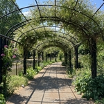 Rose Garden