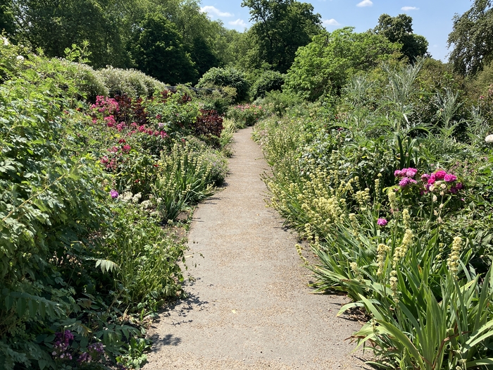 Rose Garden