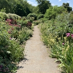 Rose Garden
