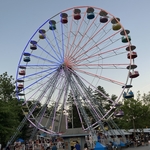 Knoebels