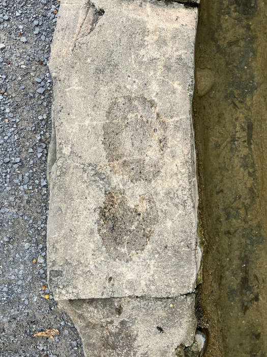 My Footprint