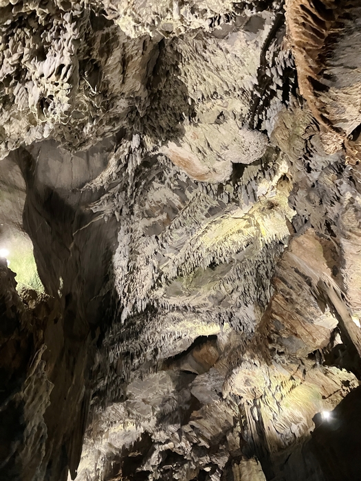 Penn's Cave