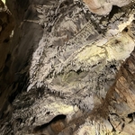 Penn's Cave