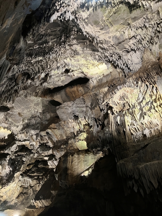 Penn's Cave