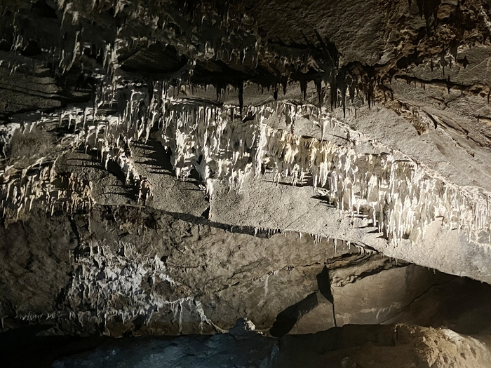 Penn's Cave