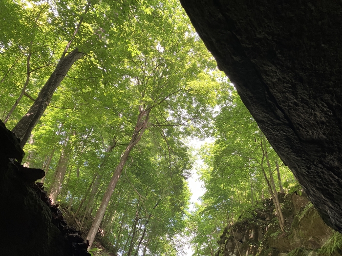Penn's Cave