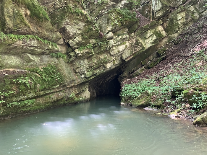 Penn's Cave