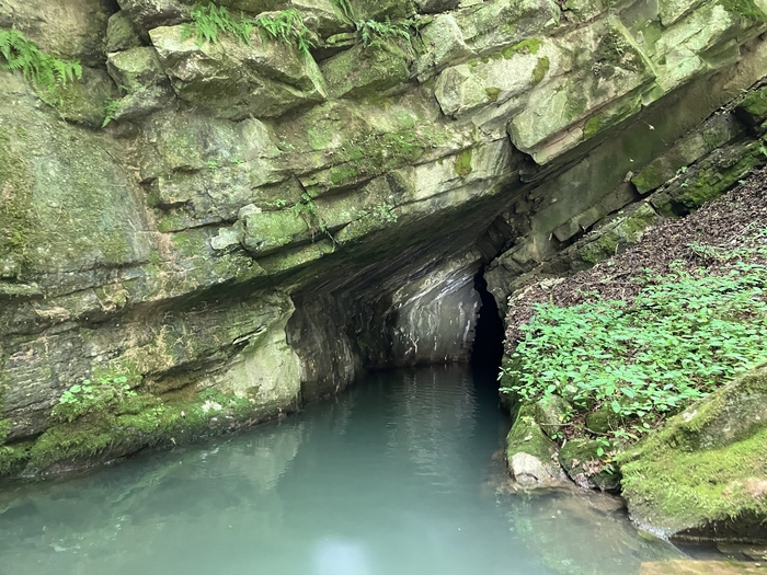 Penn's Cave