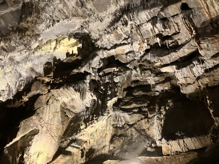 Penn's Cave