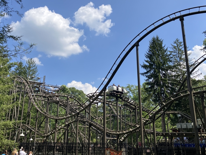 Wild Mouse