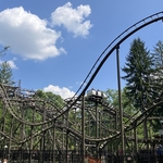 Wild Mouse
