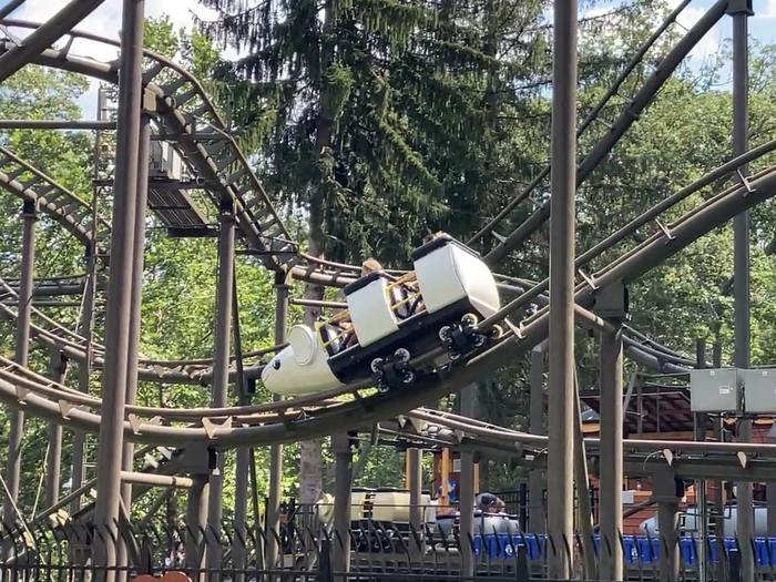 Wild Mouse