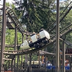 Wild Mouse