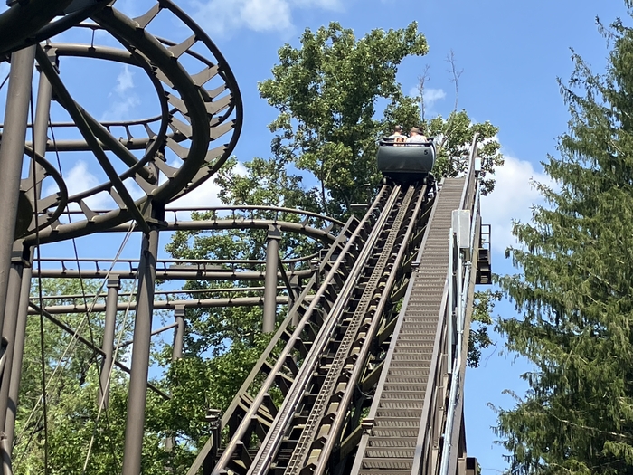 Wild Mouse