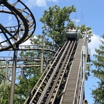 Wild Mouse