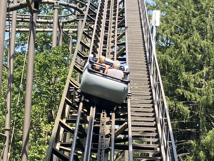 Wild Mouse