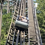 Wild Mouse